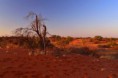 /album/afrika-2017/kalahari-jpg/