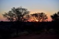 /album/afrika-2017/kalahari-2-jpg/